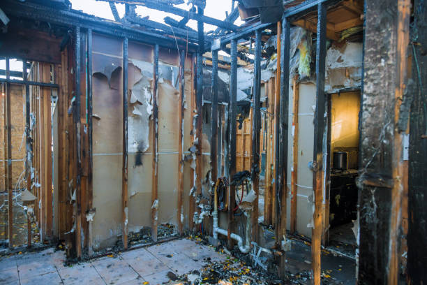 Professional Fire Damage Repair technician working in Navasota, TX